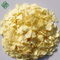 Shandong best quality dehydrated roasted garlic flakes